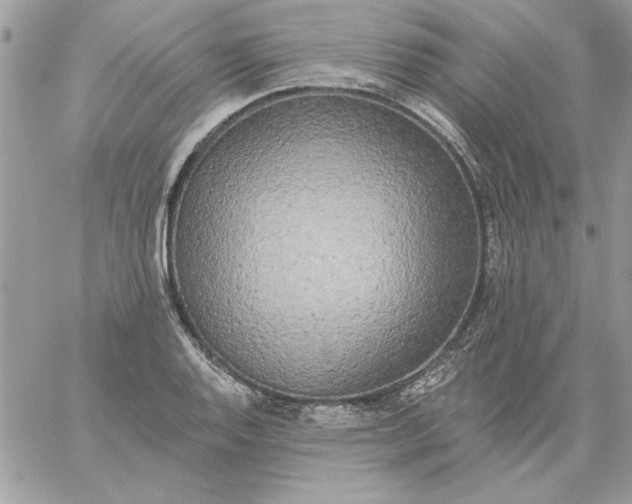 X0000059081128200510172023