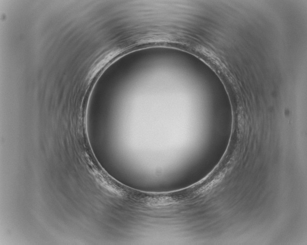 X0000059081129200510172023