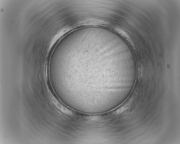 X0000059081130200510172023