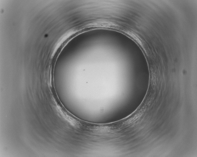 X0000059081131200510172023