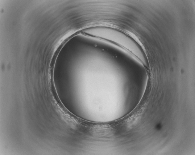 X0000059081133200510172023