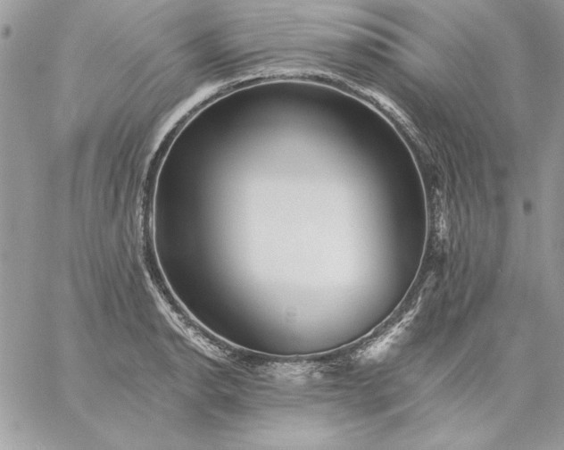 X0000059081134200510172023