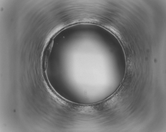 X0000059081135200510172023