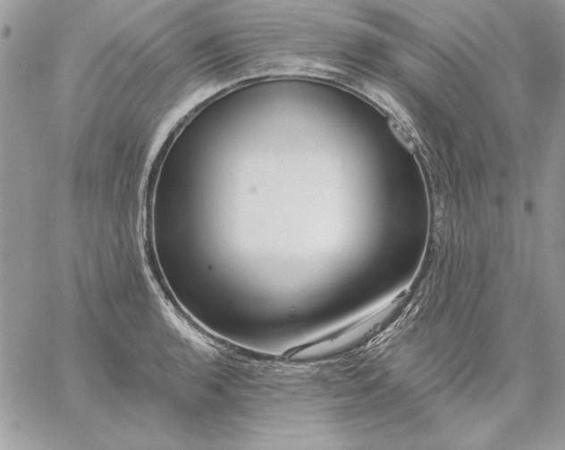 X0000059081136200510172023