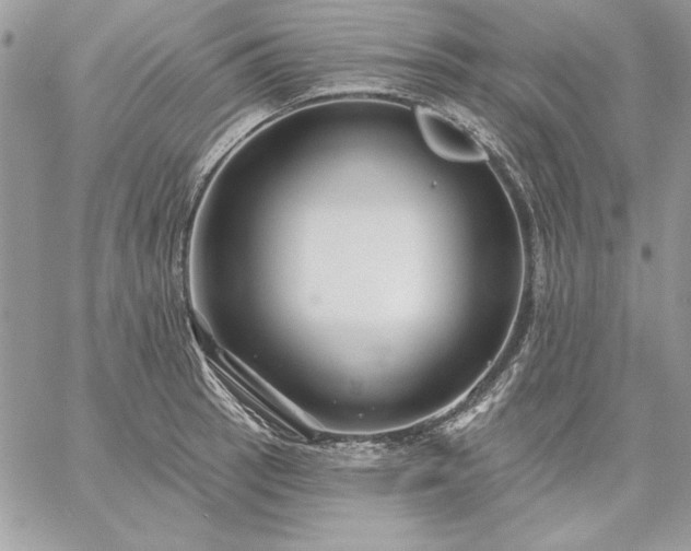 X0000059081137200510172023