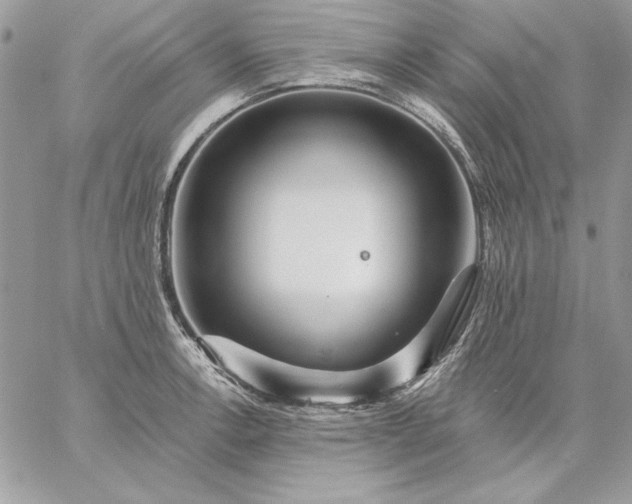 X0000059081138200510172023