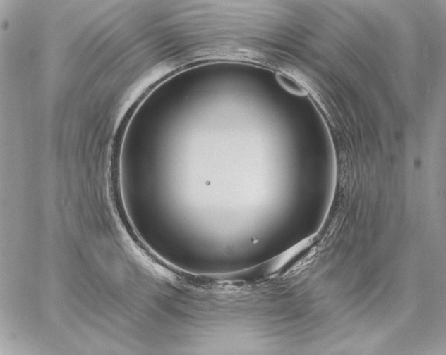 X0000059081139200510172023