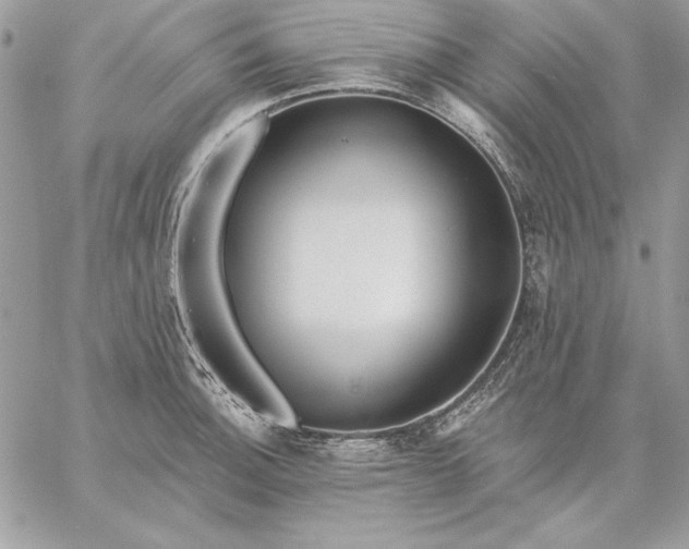 X0000059081140200510172023