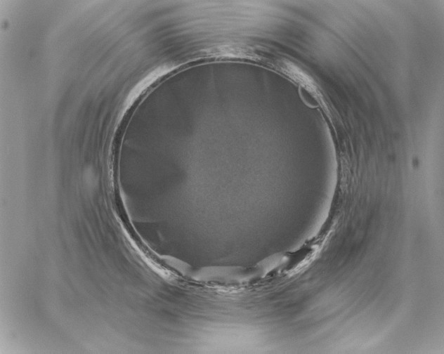 X0000059081141200510172023