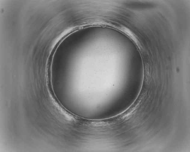 X0000059081142200510172023