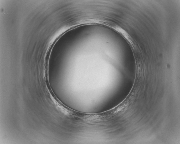 X0000059081143200510172023