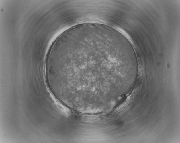 X0000059081144200510172023