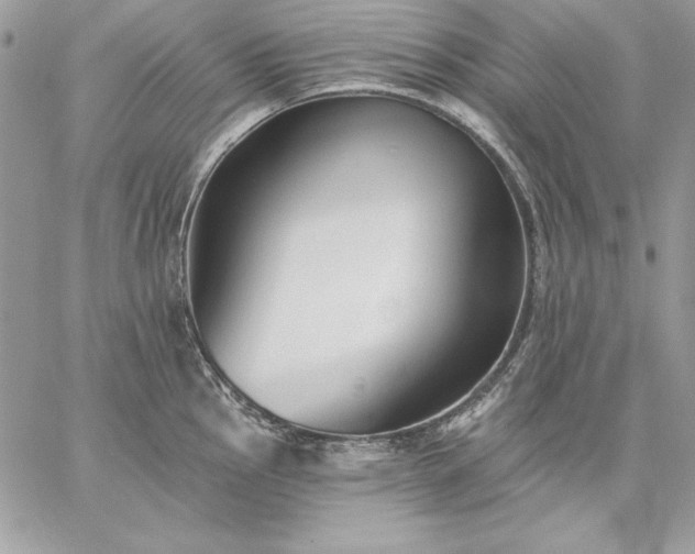 X0000059081145200510172023