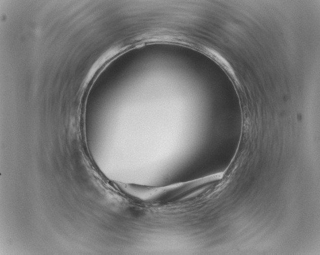 X0000059081146200510172023