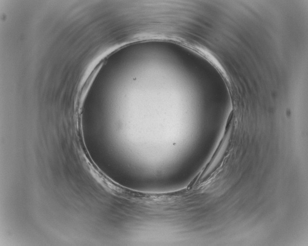 X0000059081148200510172023