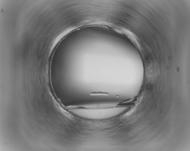 X0000059081149200510172023