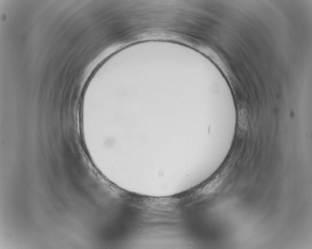 X0000059081150200510172023