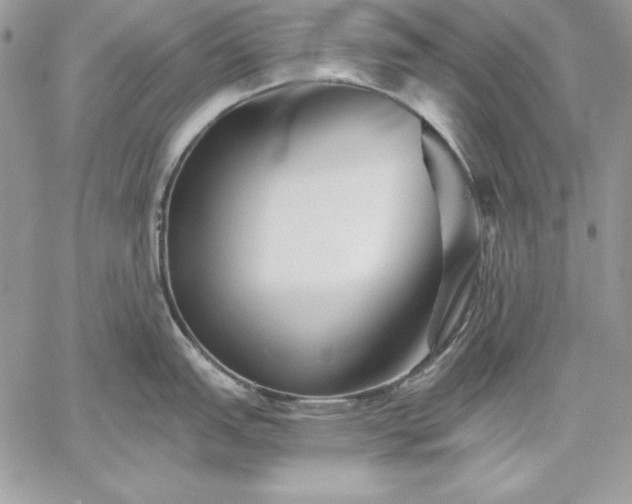 X0000059081151200510172023