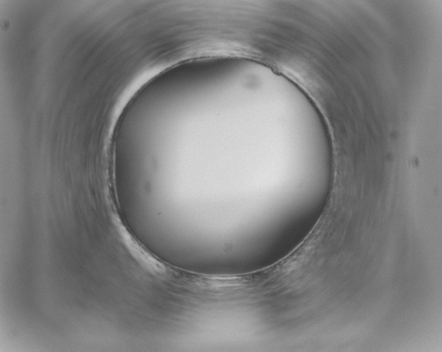 X0000059081152200510172023