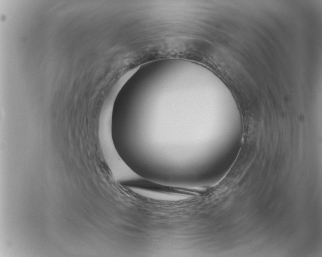 X0000059081153200510172022