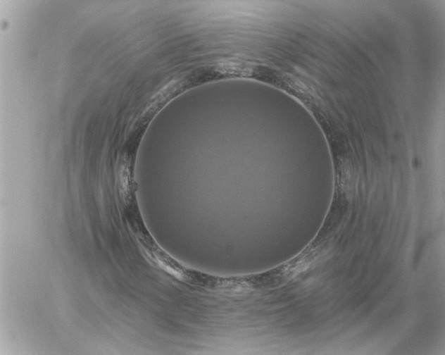 X0000059081154200510172022