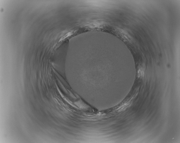 X0000059081156200510172022