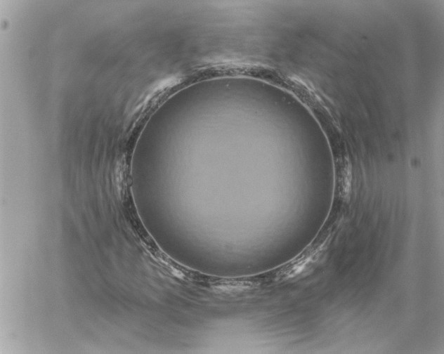 X0000059081157200510172022