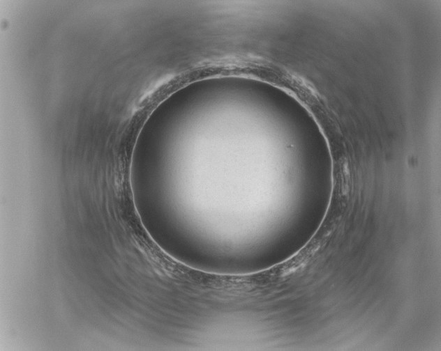 X0000059081158200510172022