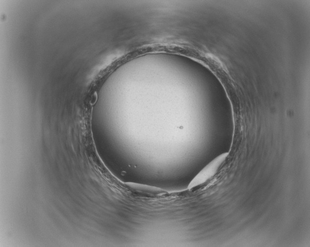 X0000059081159200510172022