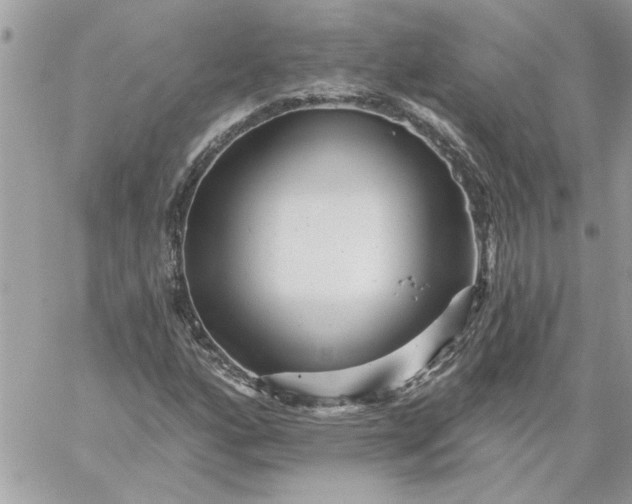 X0000059081160200510172022