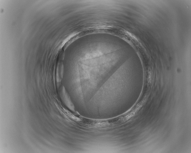 X0000059081161200510172022