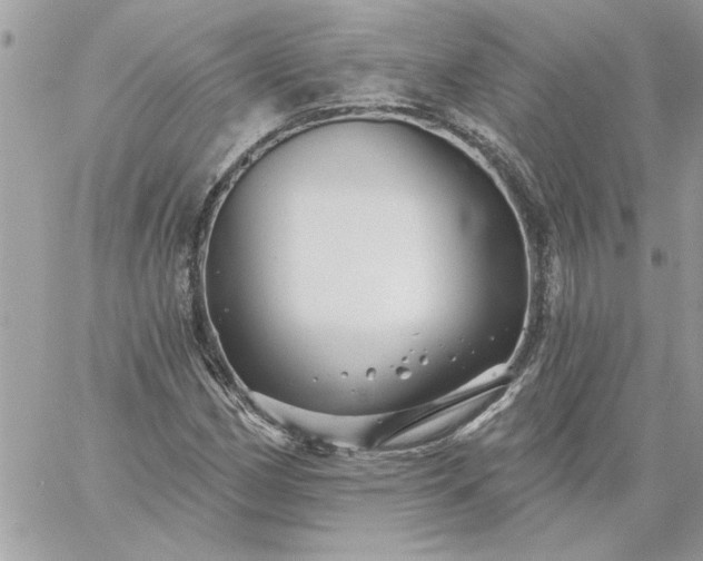 X0000059081162200510172022