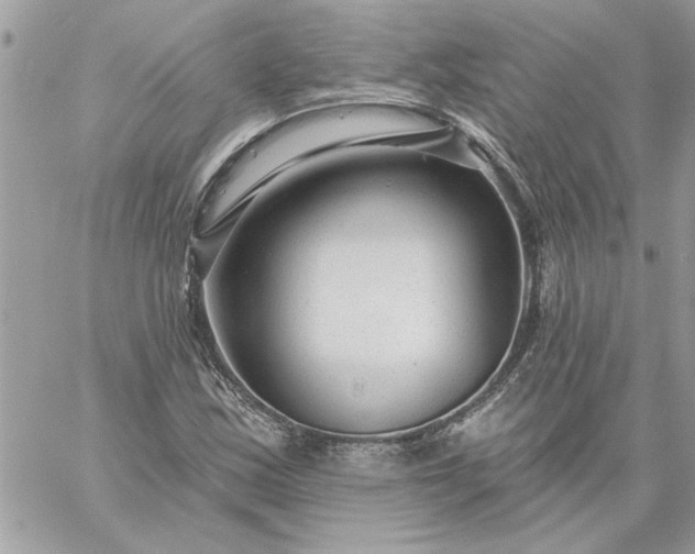 X0000059081163200510172022