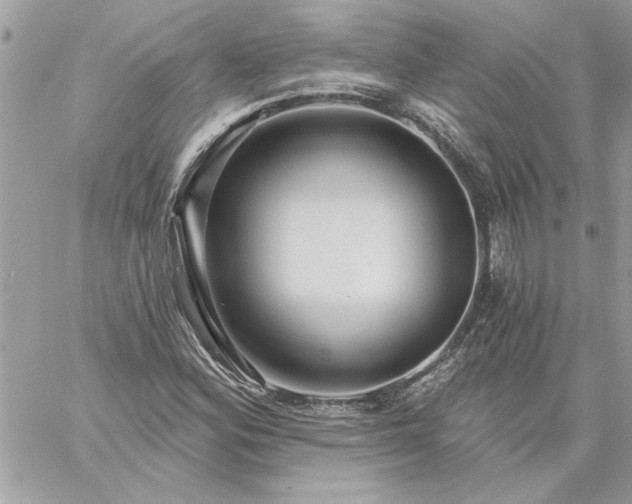 X0000059081164200510172022