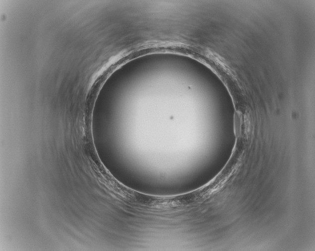 X0000059081165200510172022