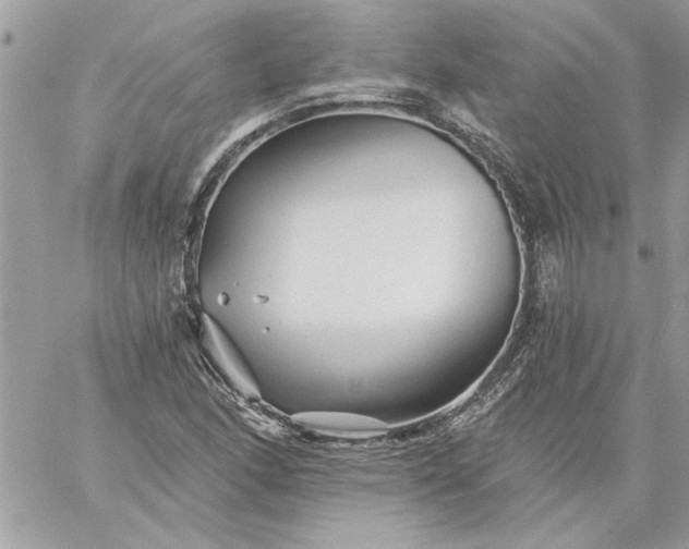 X0000059081166200510172022