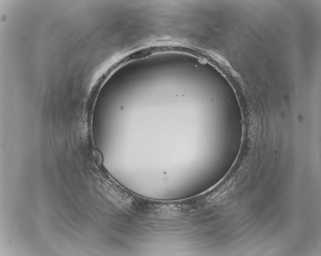 X0000059081167200510172022