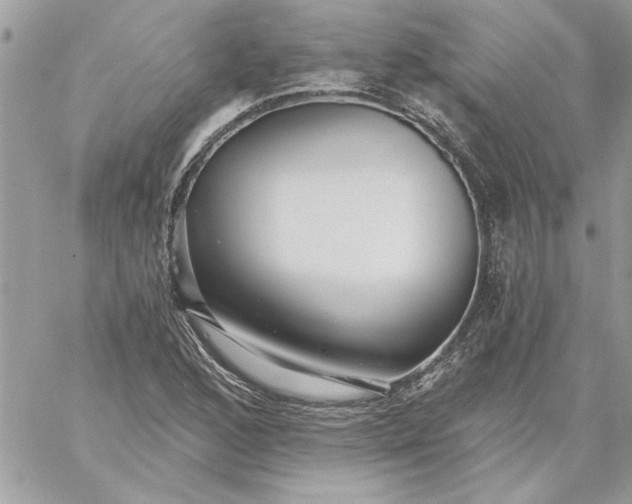 X0000059081168200510172022