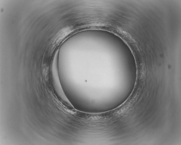 X0000059081169200510172022