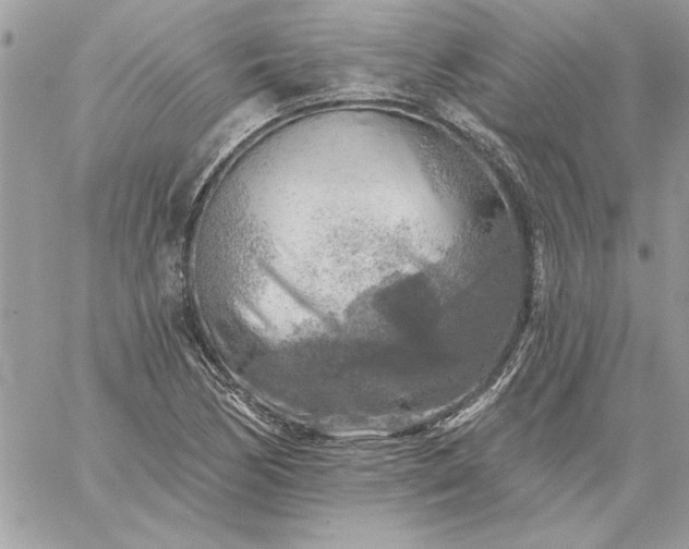 X0000059081170200510172022