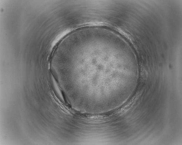 X0000059081171200510172022