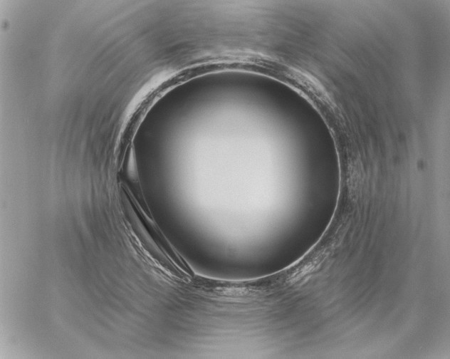 X0000059081172200510172022