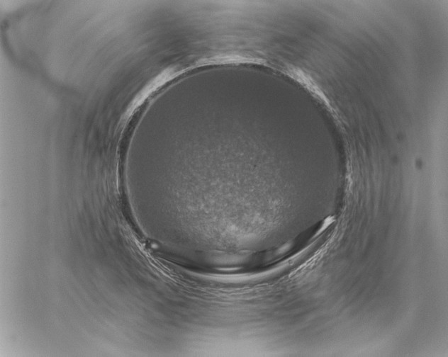 X0000059081173200510172022