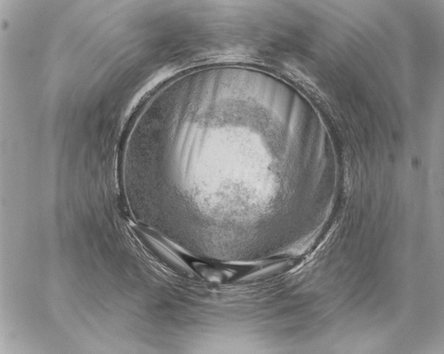 X0000059081174200510172022