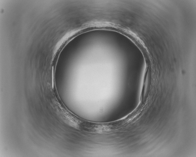 X0000059081175200510172022