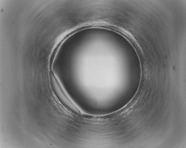 X0000059081176200510172022