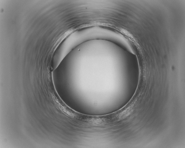 X0000059081177200510172022