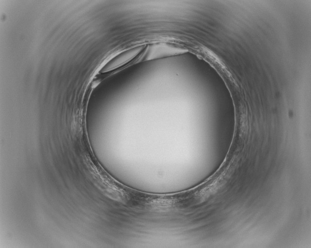 X0000059081178200510172022