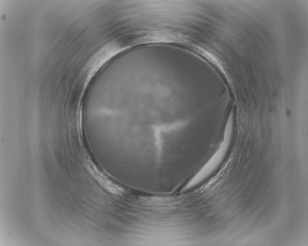 X0000059081179200510172022