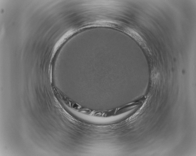 X0000059081180200510172022